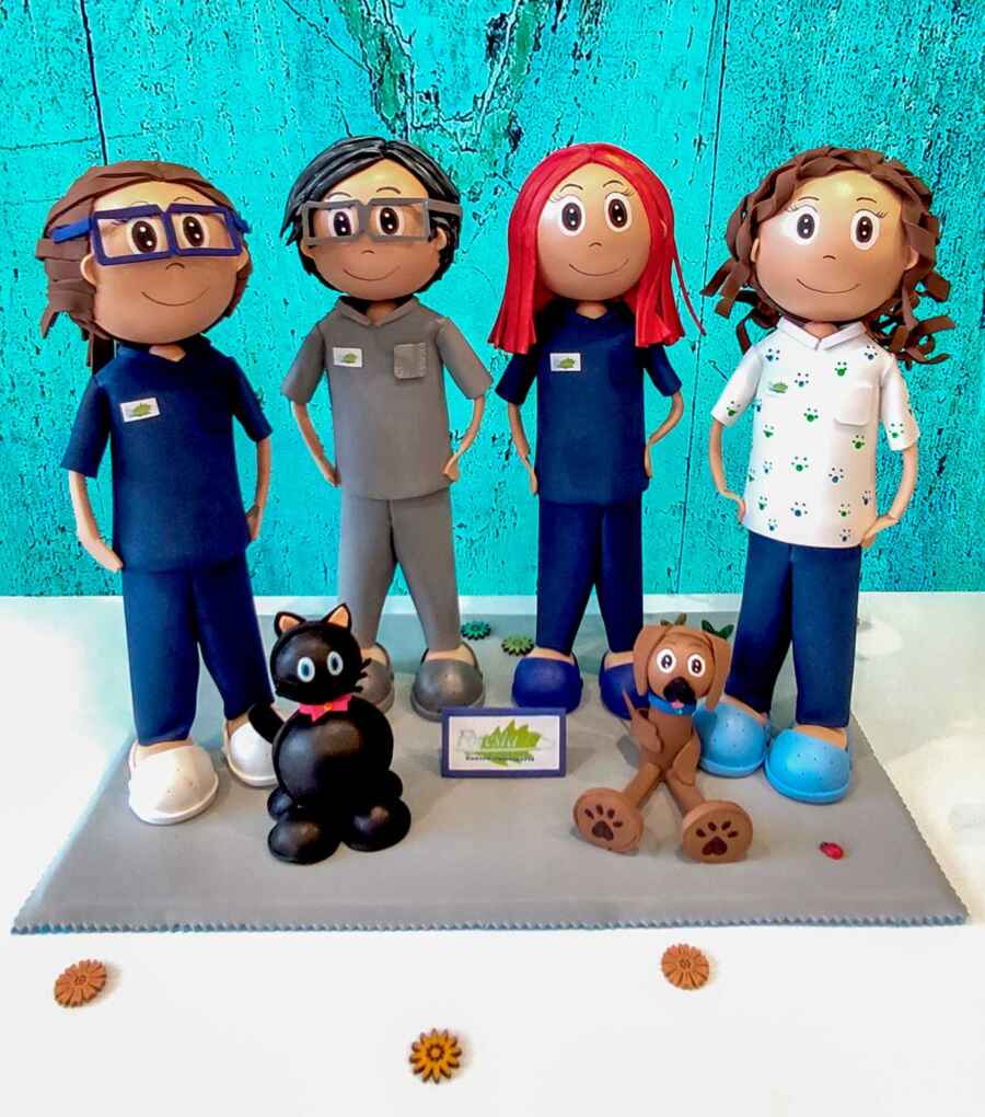 fofucha-veterinario-personalizada